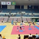 태권도예일체육관 이미지