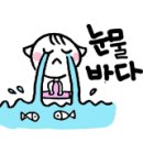 다인안과의원 이미지