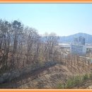 금강스마일공인중개사사무소 네이버블로그