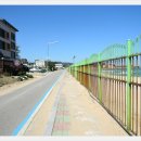 대진5리해변 이미지