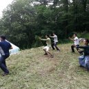 태극무관 이미지