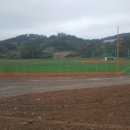 거금야구장 이미지