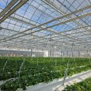 김선욱 농장 이미지