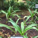 반송동164 이미지