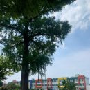 자인초등학교 이미지