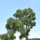 예천식품 반찬 이미지