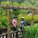 너무 과격하게 막춤추다 종아리 인대파열..(아파트)..10.31(금)에 만나요 이미지