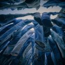 순환세탁 이미지