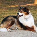 올드타임 이미지