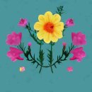 저녁요가 이미지