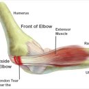 365자인한의원 이미지