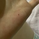 석정할인마트 | 아 졸린데 나가야해서 잘 수 없어