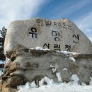 박경옥축사 이미지