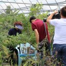 에덴농원 이미지