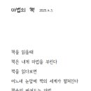 동글댕글 이미지