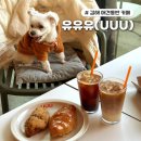 UUU(유유유) | 김해 삼방동 애견동반 가능한 디저트 맛집 | 김해 카페 "유유유(UUU)" 솔직후기