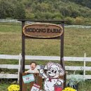 이레목장 | 구미 근교 아이랑 가볼만한 곳 동물먹이 체험 방목 목장 경북 상주 모동목장