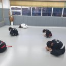 백인 합기도 이미지