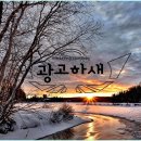 광고하새