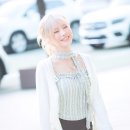 송하영 카카오 검색결과