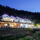 반디네허브 이미지