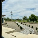 도평커피 이미지