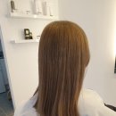 bd Hair 이미지