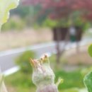 아리바우농장 이미지