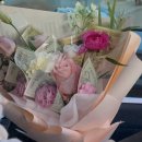 쟈뎅드마망 이미지