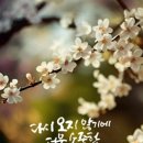 법정스님의 마음을 다스리는 글 이미지