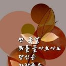행복한하루 이미지