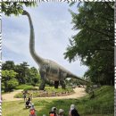 숲속하나몬테소리어린이집 | 숲어린이집 자연과 함께 자라는 아이, 늘푸른몬테소리에서의 하루