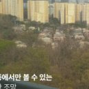 강남114부동산공인중개사사무소 이미지