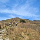 중머리재 이미지