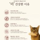 강아지와 고양이(Dog & Cat) | 🐶 강아지 자연식 간식 추천 내추럴키티 꾸꾸 후기 🐶
