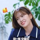 한티미소약국 이미지