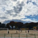 고산초등학교 이미지