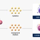 뉴라이프글로벌