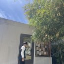 명주 | <명주정원> 상주 대형카페 재방문의사 만땅🫶🏻 (주차·메뉴·위치·영업시간) 명주정원 후기