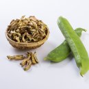 아이홀릭 이미지