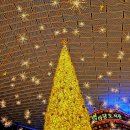 별이빛나는 작은도서관 이미지