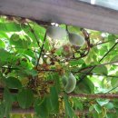 우리농원 이미지