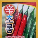신초롱 티스토리