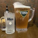 남빙고생맥주 - 2481 | 남빙고생맥주
