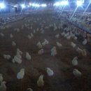 재필농장 이미지