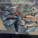 남해바다 펜션 이미지