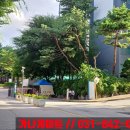 푸른비디오 | 양주시 고읍동 TS푸른솔 삼성(직방) 비디오폰 SHT-3527 설치 후기