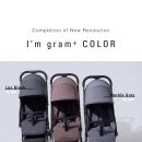 그램치킨 이미지