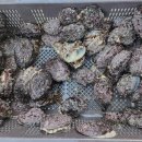 순간포차 이미지