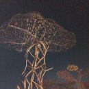 설봉한의원 이미지